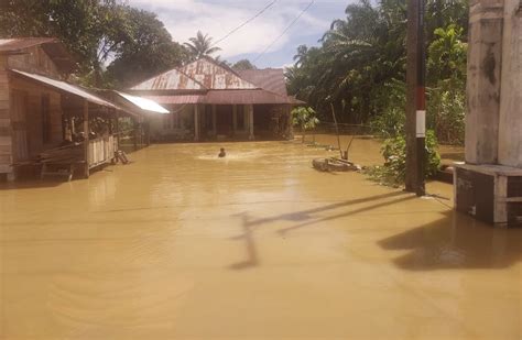 Diguyur Hujan Puluhan Desa Di Aceh Jaya Terdampak Banjir Luapan