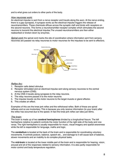 Human Biology Edexcel Igcse Pdf