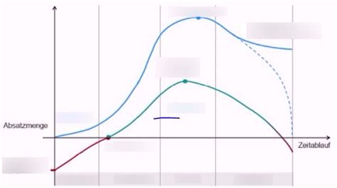 Bwl Diagram Quizlet