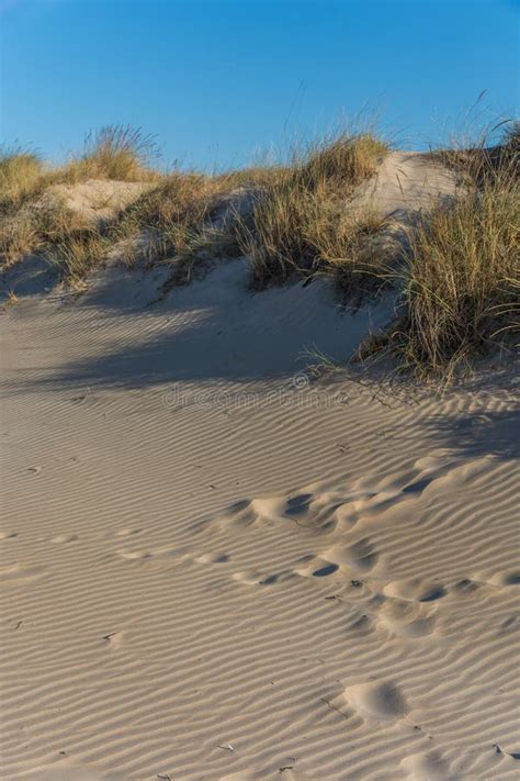 Dunas De Areia Na Praia Pegadas Na Areia Imagem De Stock Imagem De