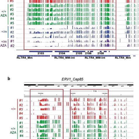 DNA Methylation Data Of Individual DMRs At Specific Gene Loci A B IGV