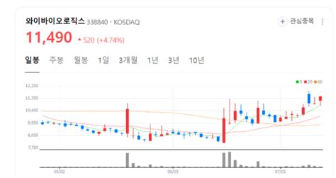 와이바이오로직스 주가 기세등등t 세포 이중항체 플랫폼 장점은