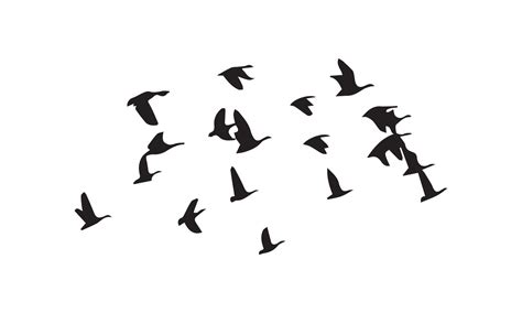 Flying Birds Silhouette 14894268 Vector Art at Vecteezy