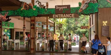 Singapore Zoo Tickets & Tours 2024 | Book TicketsToDo Online