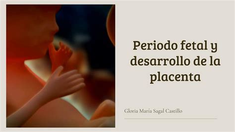 Periodo Fetal Y Desarrollo De La Placenta Gloria Sagal Udocz