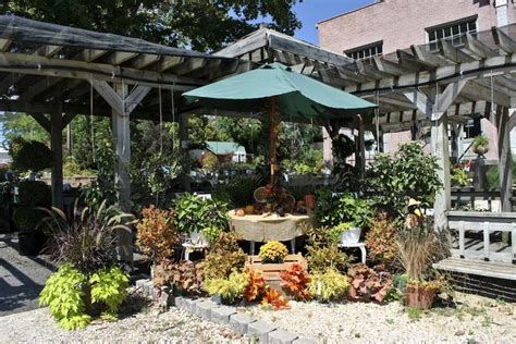 It's looking like Fall at #starkbros #gardencenter | Garden center, Plants, Picturesque