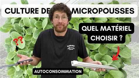 Quel Mat Riel Pour La Culture Micro Pousses Chez Soi Youtube