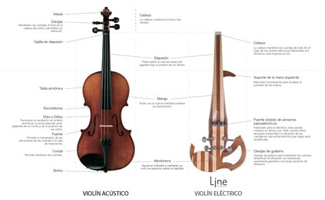 ¿cuáles Son Las Diferencias Entre Un Violín Acústico Y Un Violín Eléctrico