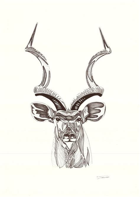 Kudu Bull