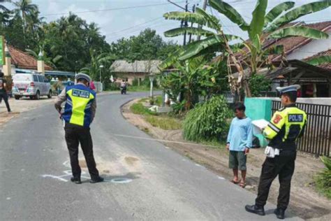 Pelajar Bonceng Tiga Di Sumsel Tewas Usai Menabrak Bak Truk