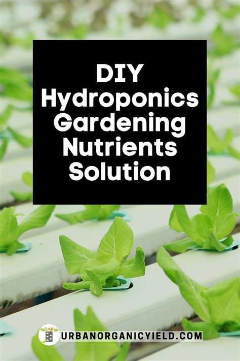 Easy Guide To Making Your Own Hydroponics Nutrients Solution