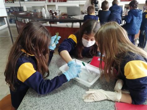 Segundo AÑo Trabajando En El Laboratorio Salesianos Salto