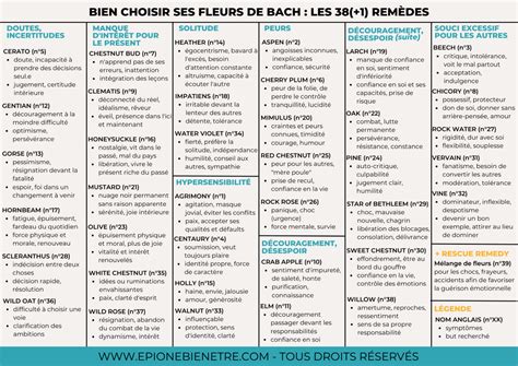 Utilisation des fleurs de Bach le guide tableau récapitulatif