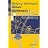 Arbeitsbuch Mathematik F R Ingenieure Band Analysis Und Lineare