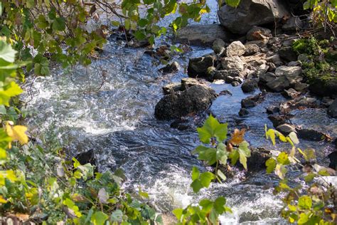 Noonday Creek Trail — ATLnature