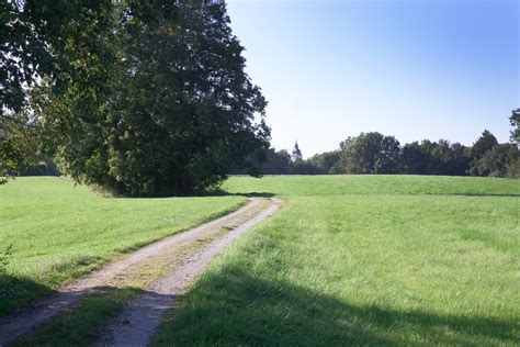 Fotos Gratis Paisaje árbol Naturaleza Bosque Camino Césped