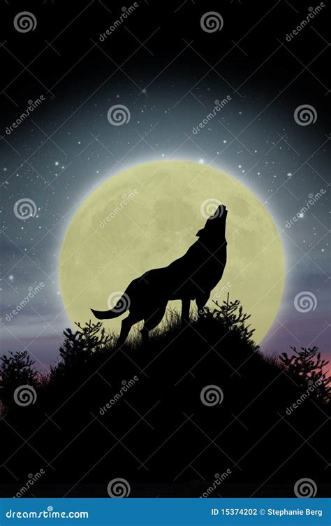 Wolf howling at moon stock photo. Image of animal, stars - 15374202