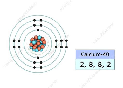 Calcium Electron Configuration Stock Image C0295027 Science Photo Library