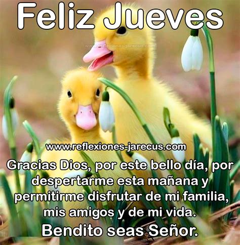 Gracias Dios Por Este Bello Día Feliz Jueves