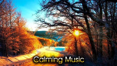 Calming Music Body Healing Music Relaxing Music Stress Relief