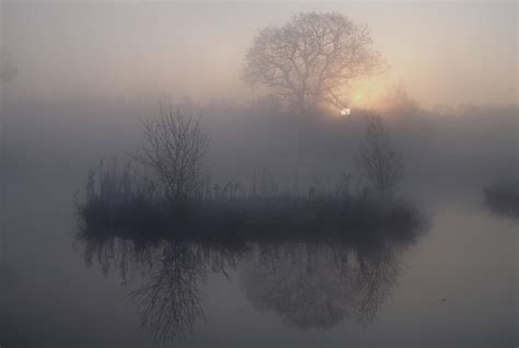 Wallpaper Sunlight Nature Reflection Snow Winter Branch Sunrise