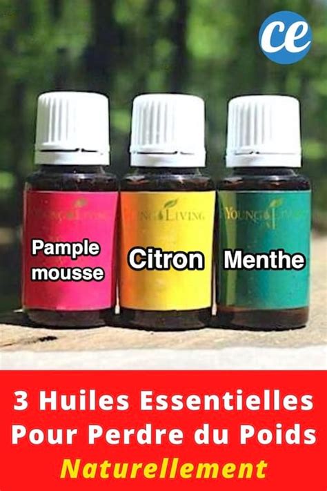 Huiles Essentielles Efficaces Pour Perdre Du Poids Naturellement