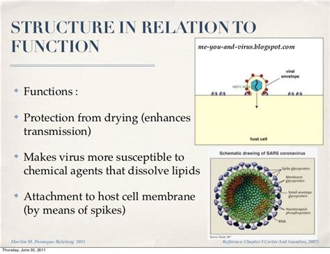 Virology Lecture 2 Viral Structure