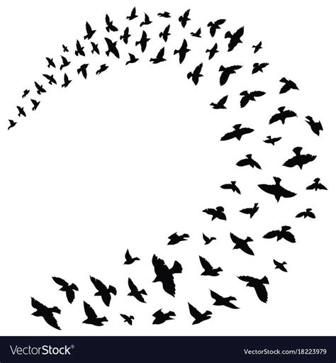 A Flock Of Birds Flying In The Sky