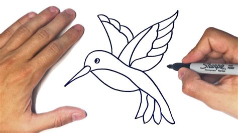 Cómo dibujar un Colibri Paso a Paso Dibujo de Colibri YouTube