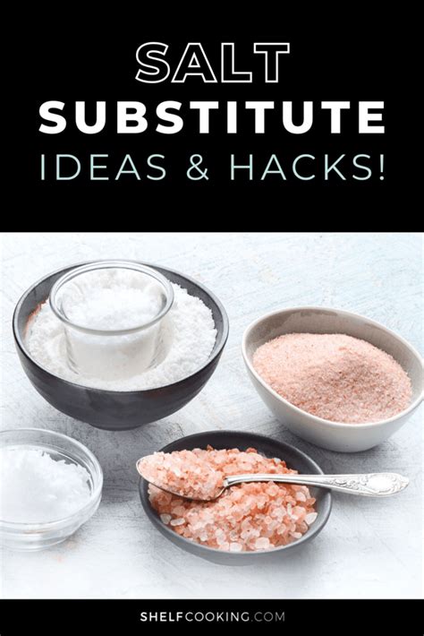 Salt Substitute Ideas You Need To Know Right Now Shelf Cooking