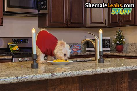 Lety Does Stuff LetyDoesStuff Leaked Nude OnlyFans Photo 159