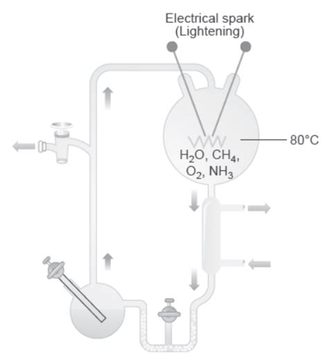 Notes Part 1 Class 12 Biology Chapter 5 Origin And 59 Off