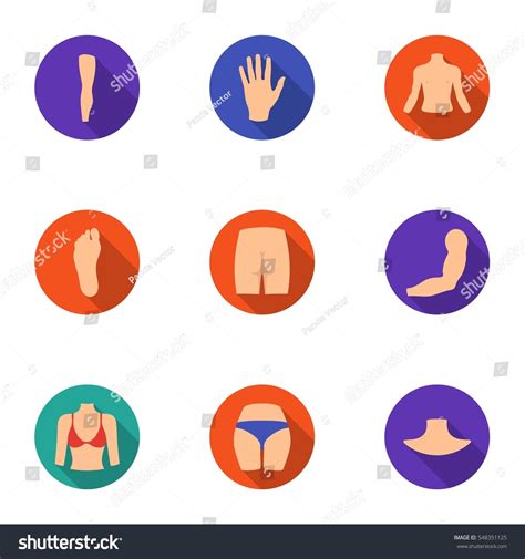 Part Of Body Set Icons In Flat Style Big Royalty Free Stock Vector