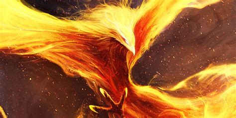 fenix leonardo mansinhos