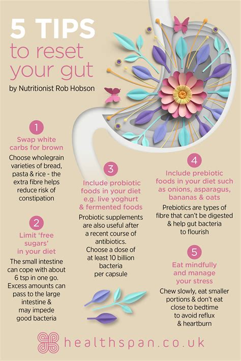 5 Tips To Reset Your Gut Gut Health Diet Improve Gut Health Gut