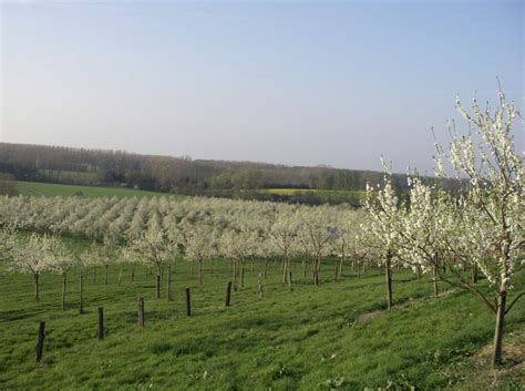 Ber Uns Burgfrucht