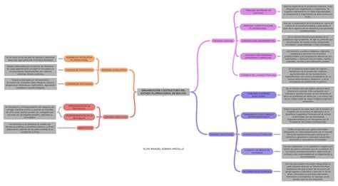 OrganizaciÓn Y Estructura Del Estado Plurinacional De Bolivia Elvis