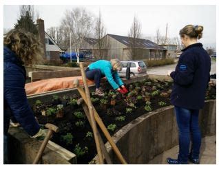 Nieuws Uit De Dorpstuin De Sylboade