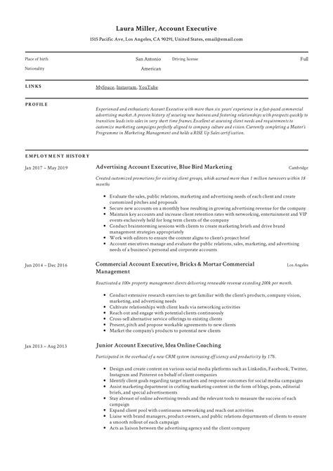 Account Executive Resume And Writing Guide 12 Templates Pdf 19