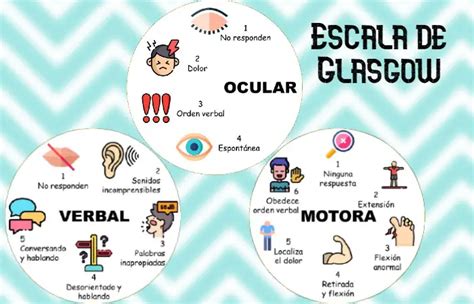 ConceptoDefinición Qué es la Escala de Glasgow Su Origen y Usos 2024