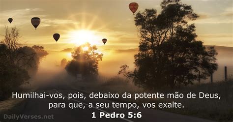 1 Pedro 56 Versículo Da Bíblia