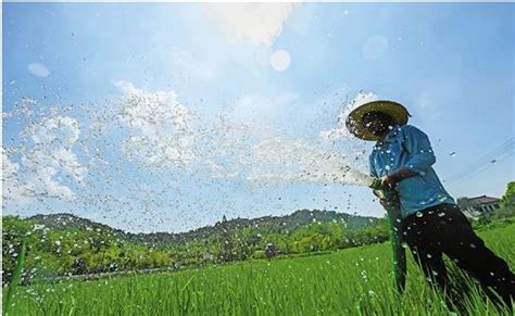 酷热屡破纪录 出梅以来降雨量较常年同期减少近六成 今年夏天怎么了？ 国际在线