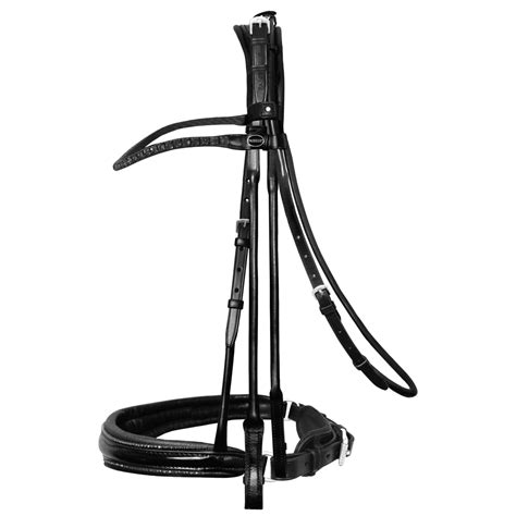 Passier Double Bridle Highscore Fundis Equestrian