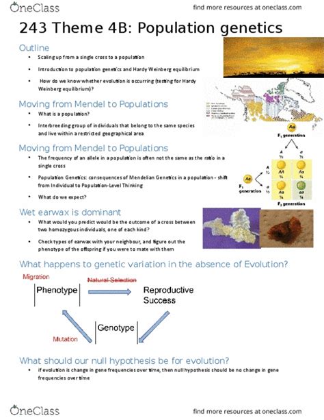 Biol Study Guide Fall Final Allele Frequency Genotype