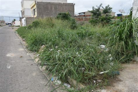 Matagal Buraqueira na Morada dos Pássaros mato bloqueia calçadas na