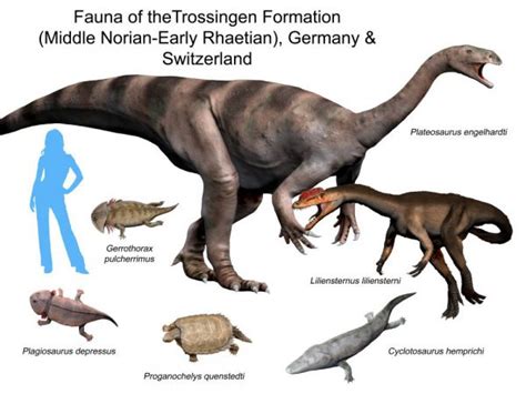 Triassic Dinosaurs The First Dinosaurs Who Walked The Earth