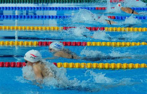 Swimmers Dive In Start Stock Photo Image Of Women Swimming 1961384