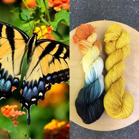 Swallowtail Butterfly and Swallowtail Gold — Round Mountain Fibers