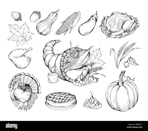 Thanksgiving hand drawn vector symbols set. Natural food, vegetables and traditional dishes ...