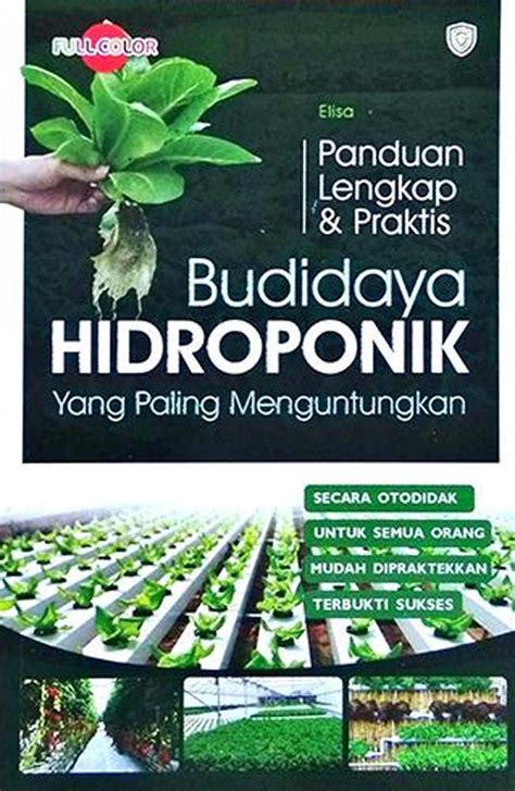 Panduan Praktis Memulai Budidaya Tanaman Hidroponik Di Rumah Cikoneng